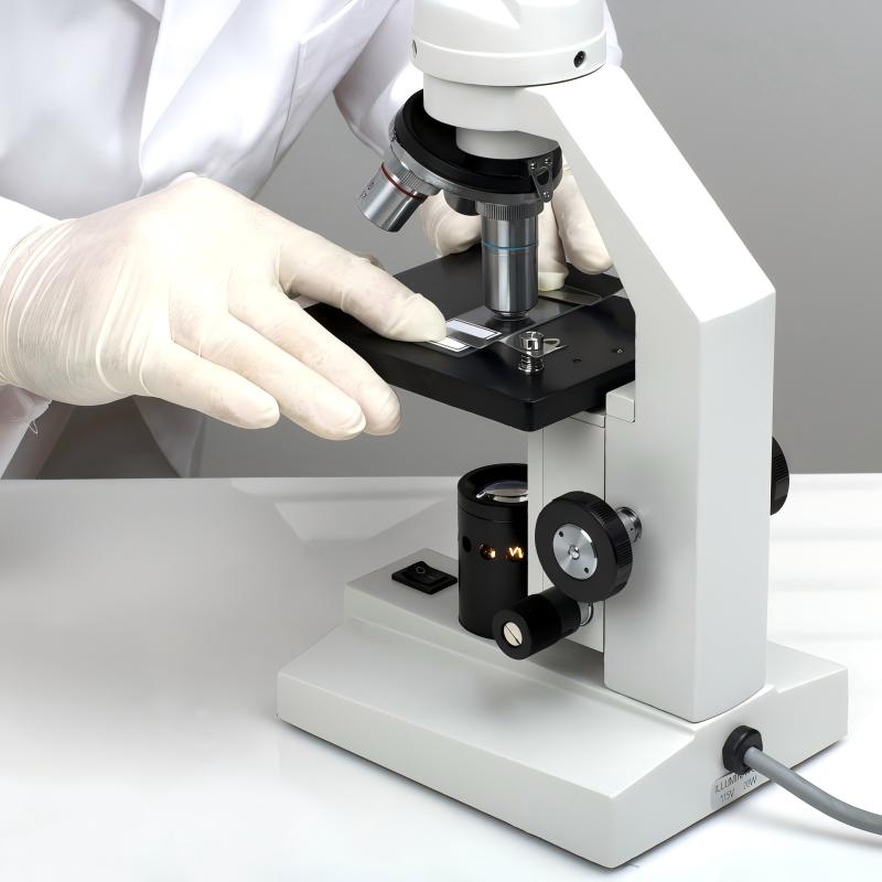 有害物質(zhì)檢測(cè)